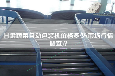 甘肅蔬菜自動(dòng)包裝機(jī)價(jià)格多少(市場(chǎng)行情調(diào)查)？