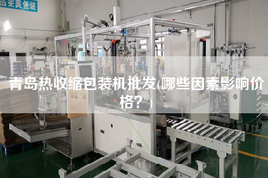 青島熱收縮包裝機批發(fā)(哪些因素影響價格？)