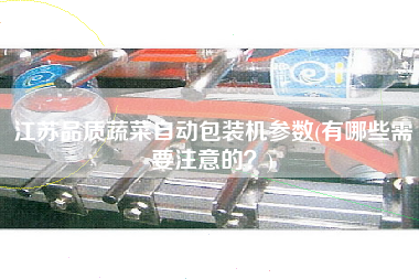 江蘇品質(zhì)蔬菜自動包裝機(jī)參數(shù)(有哪些需要注意的？)